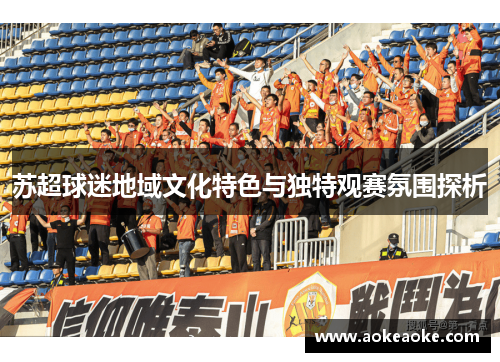 苏超球迷地域文化特色与独特观赛氛围探析